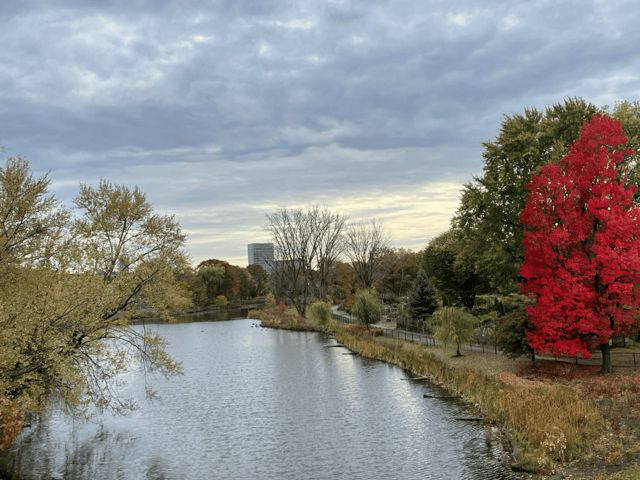 Image Processing Engine